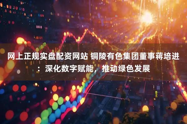 网上正规实盘配资网站 铜陵有色集团董事蒋培进：深化数字赋能，推动绿色发展